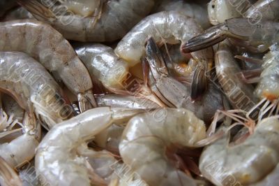 Whole raw prawns