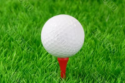  Playing golf