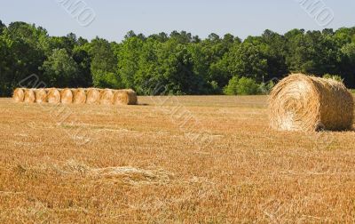 Hay Bales