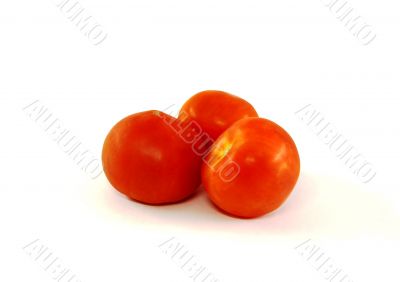 Three juicy red tomatoes close up