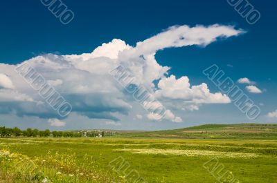 summer rural landscape