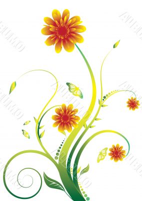 floral petal