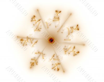 Fractal 30 brown star