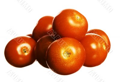 Tomatos on white.