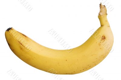 Bananas on white.