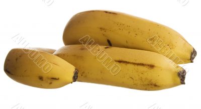 Bananas on white.