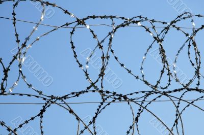 Barbed wire