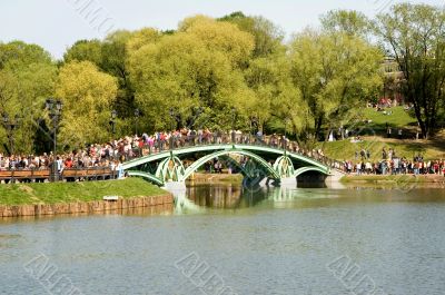 The bridge in park