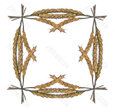 Framework from ears of wheat 1