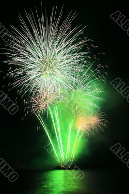 green dandelion fireworks