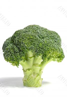 Standing broccoli