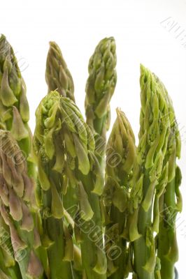 Asparagus Tips