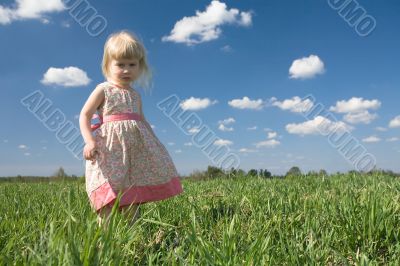 little girl on green meadow