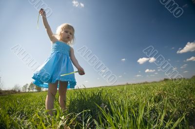 little girl on sunny meadow