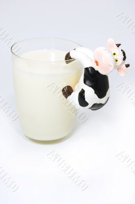 Caw and milk