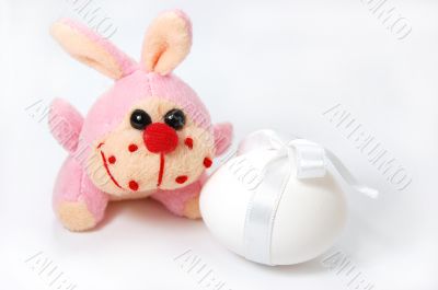 Hunny bunny