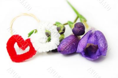 Spring symbol