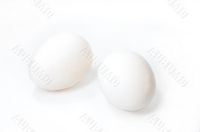 Two white eggs