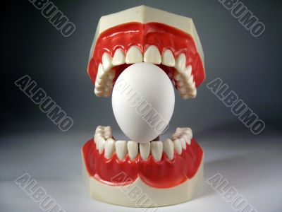 teeth model