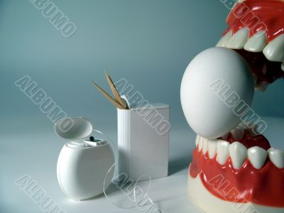 teeth model