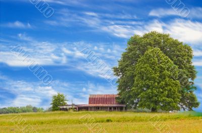 Old Barn