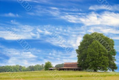 Old Barn