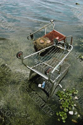 Littered Canal