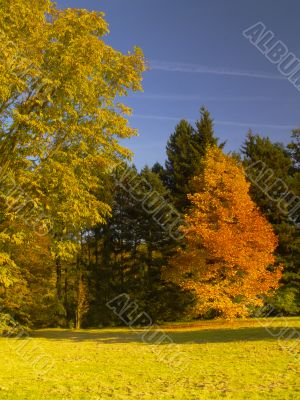 autumnal park
