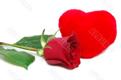 Love is