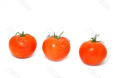 Three tomatoes