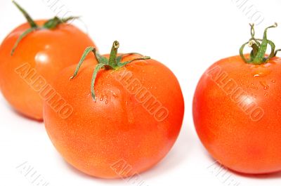 Three tomatoes