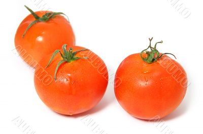 Three tomatoes