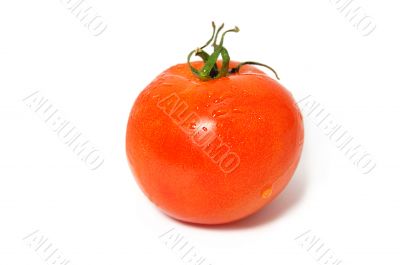 One tomato