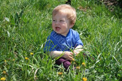Child with the dandelion
