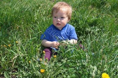 Child with the dandelion