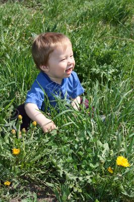 Child with the dandelion