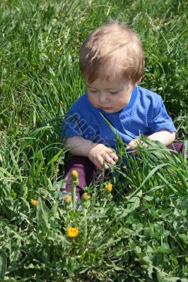 Child with the dandelion