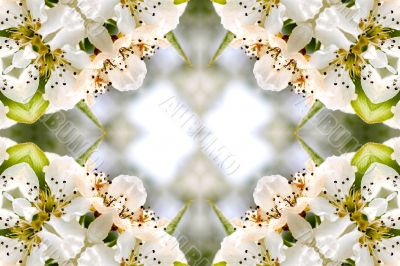 Collage on the theme of spring