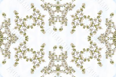 Collage on the theme of spring