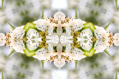 Collage on the theme of spring