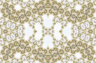 Collage on the theme of spring