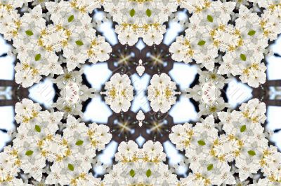 Collage on the theme of spring