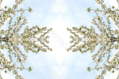 Collage on the theme of spring