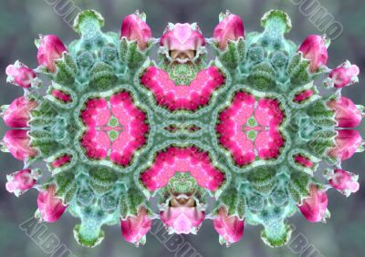 Collage on the theme of spring