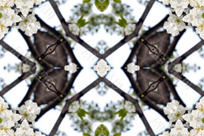 Collage on the theme of spring