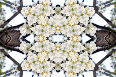 Collage on the theme of spring