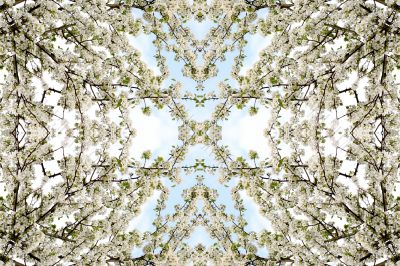 Collage on the theme of spring