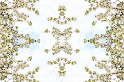 Collage on the theme of spring