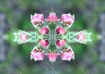 Collage on the theme of spring