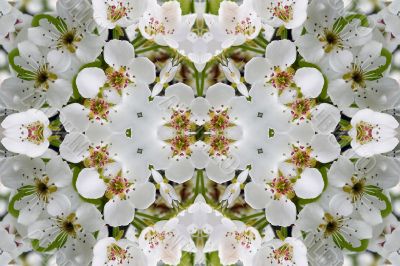 Collage on the theme of spring